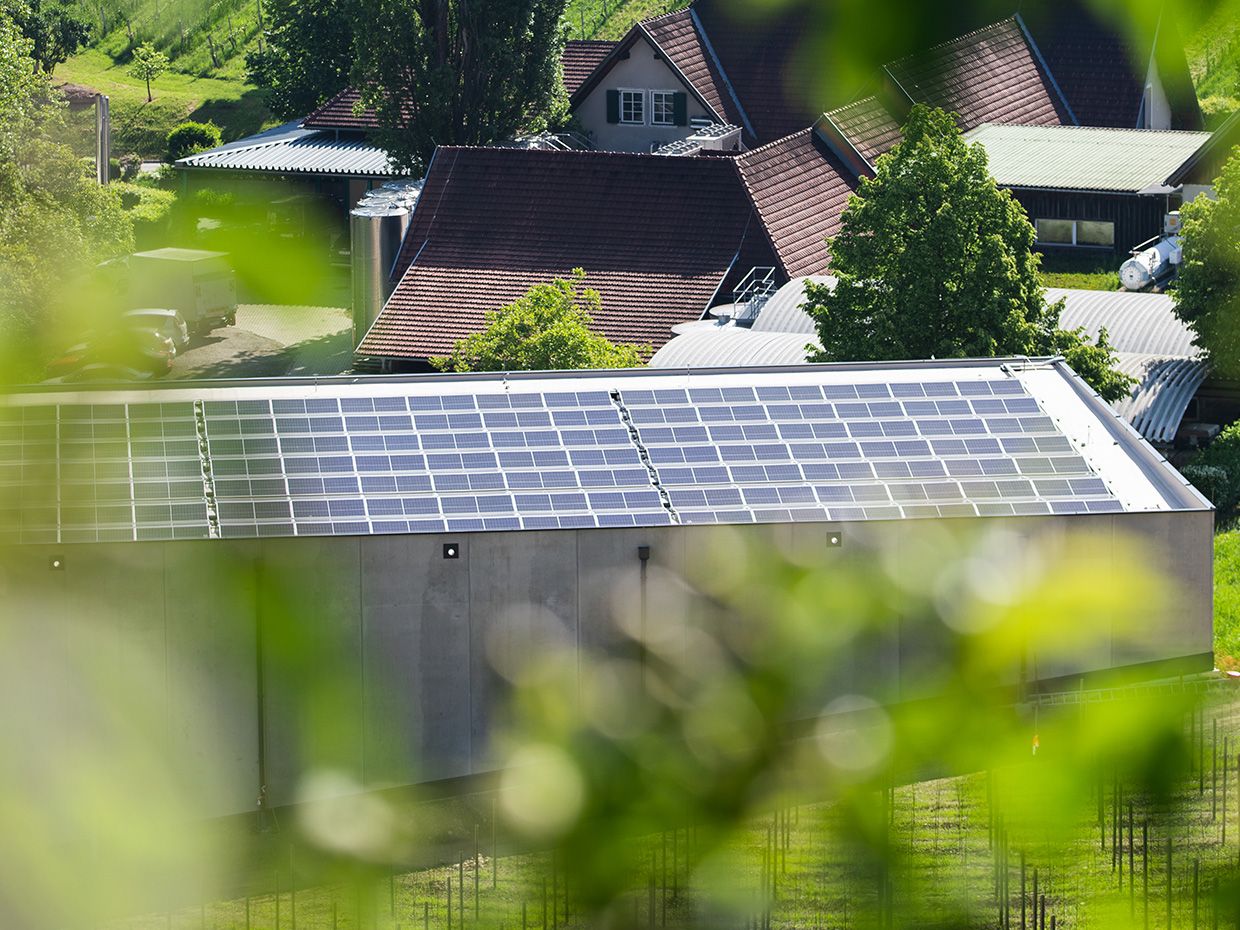Sončna elektrarna nameščena na strehi, v ozadju pa skupina stanovanjskih hiš.