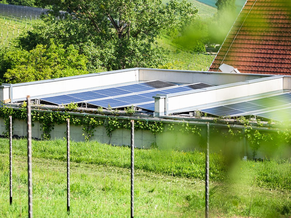 Sončna elektrarna nameščena na travniku.